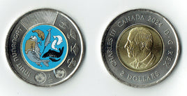 2 Dollar Kanada 2024 "Inuit Nunangat" Coloriert UNC