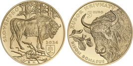 5 Euro Slowakei 2024 "Bison"