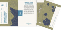 2 Euro Sondermünze San Marino 2026"800. Todestag von Franz von Assisi"